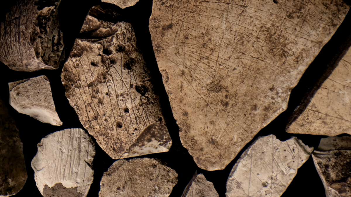 A collection of incised stones found at the Gault Site